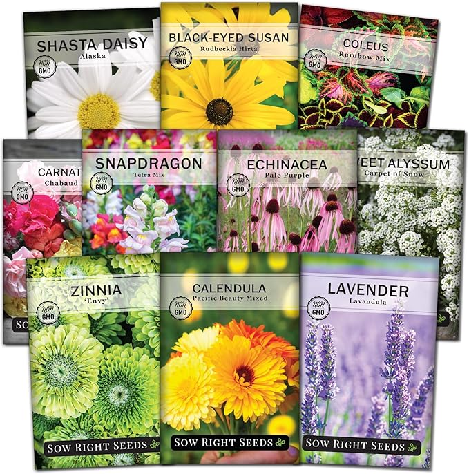 Springtime Seed Pack